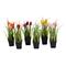 10" Artificial Tulips in Black Plastic Planters Pots, 6ct.